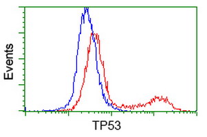 TP53 / p53 Antibody - HEK293T cells transfected with either overexpress plasmid (Red) or empty vector control plasmid (Blue) were immunostained by anti-TP53 antibody, and then analyzed by flow cytometry.