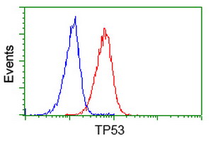 TP53 / p53 Antibody - Flow cytometry of Jurkat cells, using anti-TP53 antibody (Red), compared to a nonspecific negative control antibody (Blue).