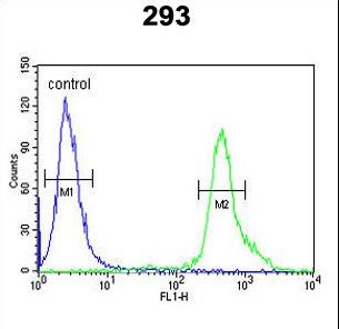 TP73 / p73 Antibody - TP73 Antibody flow cytometry of 293 cells (right histogram) compared to a negative control cell (left histogram). FITC-conjugated goat-anti-rabbit secondary antibodies were used for the analysis.