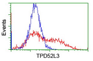 TPD52L3 Antibody - HEK293T cells transfected with either overexpress plasmid (Red) or empty vector control plasmid (Blue) were immunostained by anti-TPD52L3 antibody, and then analyzed by flow cytometry.