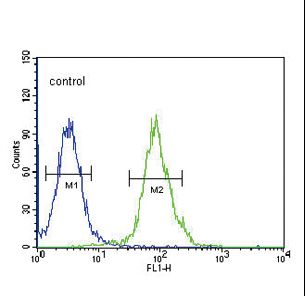 TPH2 Antibody - TPH2 Antibody flow cytometry of 293 cells (right histogram) compared to a negative control cell (left histogram). FITC-conjugated goat-anti-rabbit secondary antibodies were used for the analysis.