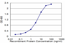 TPI1 / TPI Antibody - Detection limit for recombinant GST tagged TPI1 is approximately 0.3 ng/ml as a capture antibody.