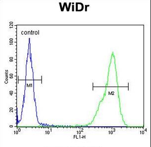 TPPP3 Antibody - TPPP3 Antibody flow cytometry of WiDr cells (right histogram) compared to a negative control cell (left histogram). FITC-conjugated goat-anti-rabbit secondary antibodies were used for the analysis.