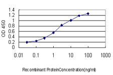 TPR Antibody - Detection limit for recombinant GST tagged TPR is approximately 0.1 ng/ml as a capture antibody.