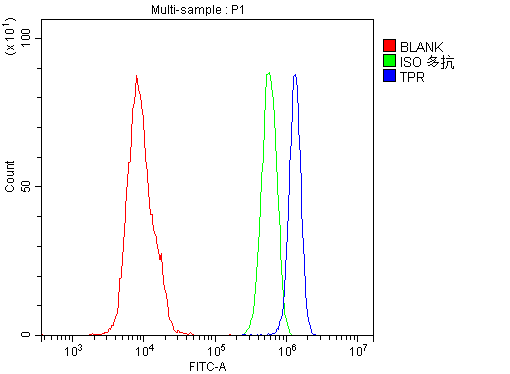 TPR Antibody - Flow Cytometry analysis of U937 cells using anti-TPR antibody. Overlay histogram showing U937 cells stained with anti-TPR antibody (Blue line). The cells were blocked with 10% normal goat serum. And then incubated with rabbit anti-TPR Antibody (1µg/10E6 cells) for 30 min at 20°C. DyLight®488 conjugated goat anti-rabbit IgG (5-10µg/10E6 cells) was used as secondary antibody for 30 minutes at 20°C. Isotype control antibody (Green line) was rabbit IgG (1µg/10E6 cells) used under the same conditions. Unlabelled sample (Red line) was also used as a control.