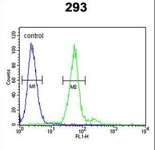 TPSAB1 / Mast Cell Tryptase Antibody - TPSAB1 Antibody flow cytometry of 293 cells (right histogram) compared to a negative control cell (left histogram). FITC-conjugated goat-anti-rabbit secondary antibodies were used for the analysis.