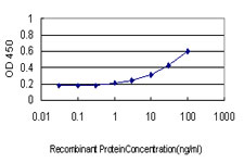 TPSAB1 / Mast Cell Tryptase Antibody - Detection limit for recombinant GST tagged TPSAB1 is approximately 0.3 ng/ml as a capture antibody.