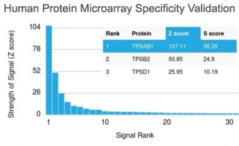 TPSAB1 / Mast Cell Tryptase Antibody - Analysis of HuProt(TM) microarray containing more than 19,000 full-length human proteins using TPSAB1 antibody (clone TPSAB1/1961). These results demonstrate the foremost specificity of the TPSAB1/1961 mAb. Z- and S- score: The Z-score represents the strength of a signal that an antibody (in combination with a fluorescently-tagged anti-IgG secondary Ab) produces when binding to a particular protein on the HuProt(TM) array. Z-scores are described in units of standard deviations (SDs) above the mean value of all signals generated on that array. If the targets on the HuProt(TM) are arranged in descending order of the Z-score, the S-score is the difference (also in units of SDs) between the Z-scores. The S-score therefore represents the relative target specificity of an Ab to its intended target.