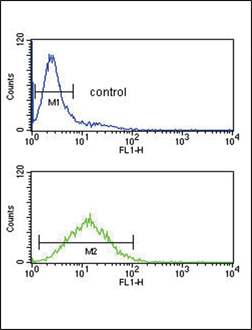 TPT1 / TCTP Antibody - TPT1 Antibody flow cytometry of Jurkat cells (bottom histogram) compared to a negative control cell (top histogram). FITC-conjugated goat-anti-rabbit secondary antibodies were used for the analysis.