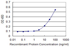 TPT1 / TCTP Antibody - Detection limit for recombinant GST tagged TPT1 is approximately 0.3 ng/ml as a capture antibody.