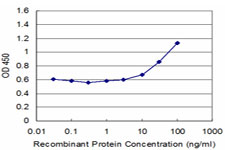 TPTE Antibody - Detection limit for recombinant GST tagged TPTE is approximately 3 ng/ml as a capture antibody.
