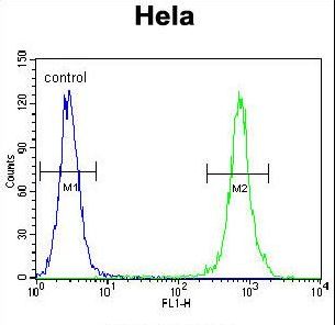 TRADD Antibody - TRADD Antibody flow cytometry of HeLa cells (right histogram) compared to a negative control cell (left histogram). FITC-conjugated goat-anti-rabbit secondary antibodies were used for the analysis.