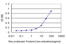 TRAF6 Antibody - Detection limit for recombinant GST tagged TRAF6 is approximately 1 ng/ml as a capture antibody.