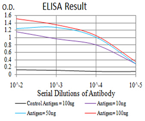 TRAG3 / CSAG2 Antibody - Black line: Control Antigen (100 ng);Purple line: Antigen (10ng); Blue line: Antigen (50 ng); Red line:Antigen (100 ng)