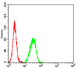 TRAG3 / CSAG2 Antibody - Flow cytometric analysis of Hela cells using SAG2 mouse mAb (green) and negative control (red).