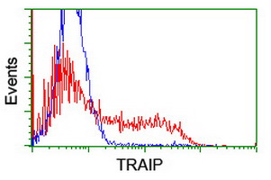 TRAIP / TRIP Antibody - HEK293T cells transfected with either overexpress plasmid (Red) or empty vector control plasmid (Blue) were immunostained by anti-TRAIP antibody, and then analyzed by flow cytometry.