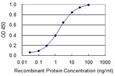 TRAM2 Antibody - Detection limit for recombinant GST tagged TRAM2 is 0.03 ng/ml as a capture antibody.