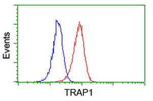 TRAP1 / HSP75 Antibody - Flow cytometry of Jurkat cells, using anti-TRAP1 antibody (Red), compared to a nonspecific negative control antibody (Blue).