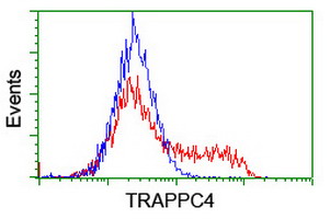 TRAPPC4 / Synbindin Antibody - HEK293T cells transfected with either overexpress plasmid (Red) or empty vector control plasmid (Blue) were immunostained by anti-TRAPPC4 antibody, and then analyzed by flow cytometry.