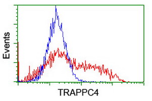 TRAPPC4 / Synbindin Antibody - HEK293T cells transfected with either overexpress plasmid (Red) or empty vector control plasmid (Blue) were immunostained by anti-TRAPPC4 antibody, and then analyzed by flow cytometry.