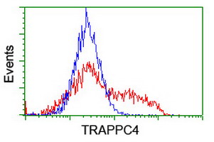 TRAPPC4 / Synbindin Antibody - HEK293T cells transfected with either overexpress plasmid (Red) or empty vector control plasmid (Blue) were immunostained by anti-TRAPPC4 antibody, and then analyzed by flow cytometry.