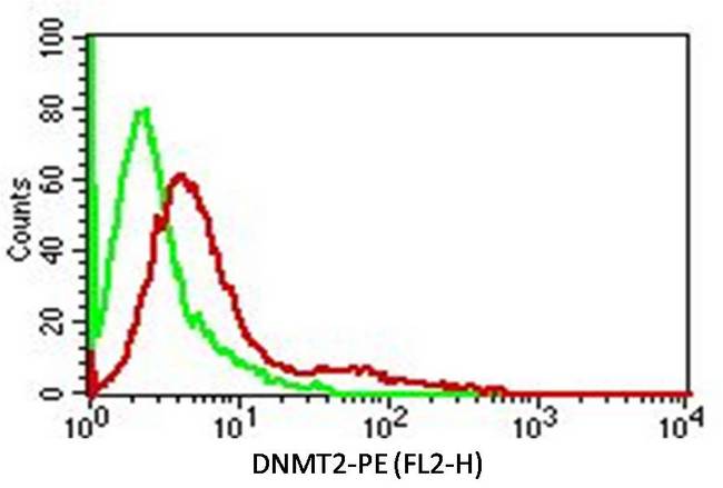 TRDMT1 / DNMT2 Antibody - Fig-2: Intracellular Flow analysis of DNMT2 antibody in Hela cells using 0.5 µg/ 10^6 cells of anti-DNMT2 antibody. Green represents isotype control; red represents anti-DNMT 2 antibody. Goat anti-mouse PE conjugate was used as secondary antibody. (Cells were fixed with 4% paraformaldehyde for 10 min and washed with PBS by centrifuging at 1100 for 5 min followed by permeabilization for 20 min and washed again as mentioned above. Then cell were incubated with primary antibody for 45 min. and after washing the cells twice in PBS, incubated with conjugated secondary antibody for 30 min. Data acquisition was done after washing twice with PBS as mentioned above).