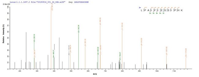 troA Protein - Based on the SEQUEST from database of E.coli host and target protein, the LC-MS/MS Analysis result of Recombinant Treponema pallidum Periplasmic zinc-binding protein troA(troA) could indicate that this peptide derived from E.coli-expressed Treponema pallidum (strain Nichols) troA.