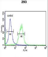 TRIB2 Antibody - TRIB2 Antibody flow cytometry of 293 cells (right histogram) compared to a negative control cell (left histogram). FITC-conjugated goat-anti-rabbit secondary antibodies were used for the analysis.