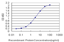 TRIB2 Antibody - Detection limit for recombinant GST tagged TRIB2 is approximately 0.03 ng/ml as a capture antibody.