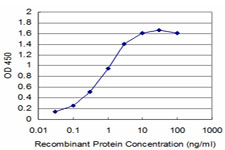 TRIM16 Antibody - Detection limit for recombinant GST tagged TRIM16 is approximately 0.03 ng/ml as a capture antibody.