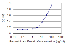 TRIM26 Antibody - Detection limit for recombinant GST tagged TRIM26 is 1 ng/ml as a capture antibody.