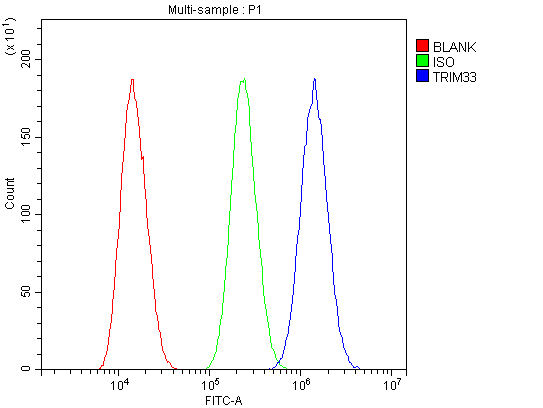 TRIM33 / TIF1-Gamma Antibody - Flow Cytometry analysis of U87 cells using anti-TIF1 gamma antibody. Overlay histogram showing U87 cells stained with anti-TIF1 gamma antibody (Blue line). The cells were blocked with 10% normal goat serum. And then incubated with rabbit anti-TIF1 gamma Antibody (1µg/10E6 cells) for 30 min at 20°C. DyLight®488 conjugated goat anti-rabbit IgG (5-10µg/10E6 cells) was used as secondary antibody for 30 minutes at 20°C. Isotype control antibody (Green line) was rabbit IgG (1µg/10E6 cells) used under the same conditions. Unlabelled sample (Red line) was also used as a control.