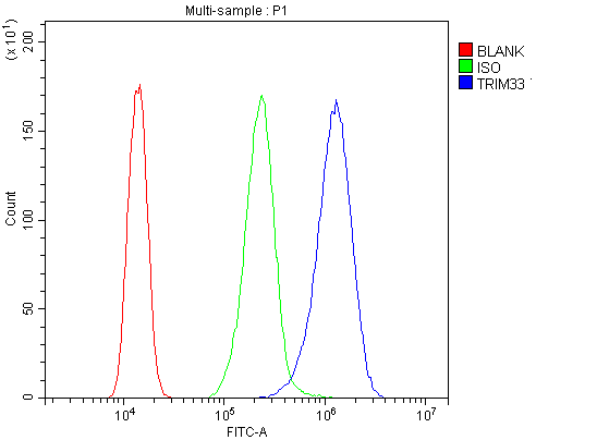 TRIM33 / TIF1-Gamma Antibody - Flow Cytometry analysis of A431 cells using anti-TIF1 gamma antibody. Overlay histogram showing A431 cells stained with anti-TIF1 gamma antibody (Blue line). The cells were blocked with 10% normal goat serum. And then incubated with rabbit anti-TIF1 gamma Antibody (1µg/10E6 cells) for 30 min at 20°C. DyLight®488 conjugated goat anti-rabbit IgG (5-10µg/10E6 cells) was used as secondary antibody for 30 minutes at 20°C. Isotype control antibody (Green line) was rabbit IgG (1µg/10E6 cells) used under the same conditions. Unlabelled sample (Red line) was also used as a control.