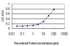TRIM36 Antibody - Detection limit for recombinant GST tagged TRIM36 is approximately 1 ng/ml as a capture antibody.