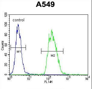 TRIM43 Antibody - TRIM43 Antibody flow cytometry of A549 cells (right histogram) compared to a negative control cell (left histogram). FITC-conjugated goat-anti-rabbit secondary antibodies were used for the analysis.