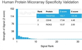 TROP2 / TACSTD2 Antibody - Analysis of HuProt(TM) microarray containing more than 19,000 full-length human proteins using TROP2 antibody (clone TACSTD2/2151). These results demonstrate the foremost specificity of the TACSTD2/2151 mAb. Z- and S- score: The Z-score represents the strength of a signal that an antibody (in combination with a fluorescently-tagged anti-IgG secondary Ab) produces when binding to a particular protein on the HuProt(TM) array. Z-scores are described in units of standard deviations (SDs) above the mean value of all signals generated on that array. If the targets on the HuProt(TM) are arranged in descending order of the Z-score, the S-score is the difference (also in units of SDs) between the Z-scores. The S-score therefore represents the relative target specificity of an Ab to its intended target.