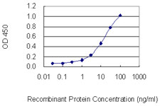 TRPC1 Antibody - Detection limit for recombinant GST tagged TRPC1 is 0.3 ng/ml as a capture antibody.