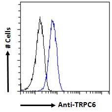 TRPC6 Antibody - Goat Anti-TRPC6 Antibody Flow cytometric analysis of paraformaldehyde fixed A549 cells (blue line), permeabilized with 0.5% Triton. Primary incubation 1hr (10ug/ml) followed by Alexa Fluor 488 secondary antibody (1ug/ml). IgG control: Unimmunized goat IgG (black line) followed by Alexa Fluor 488 secondary antibody.