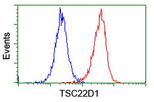 TSC22D1 / TSC22 Antibody - Flow cytometry of Jurkat cells, using anti-TSC22D1 antibody (Red), compared to a nonspecific negative control antibody (Blue).