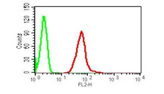 TSLP Antibody - Fig-2: Intracellular flow cytometric analysis of TSLP in HepG2 cells using 0.5 µg/10^6 cells of Anti-TSLP antibody. Green represent isotype control and red represent Anti-TSLP antibody. Goat anti-mouse PE conjugated secondary antibody was used.