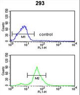 TSPAN12 Antibody - TSPAN12 Antibody flow cytometry of 293 cells (bottom histogram) compared to a negative control cell (top histogram). FITC-conjugated goat-anti-rabbit secondary antibodies were used for the analysis.