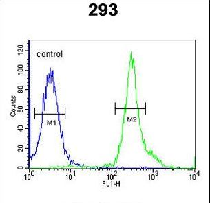 TSPAN3 Antibody - TSPAN3 Antibody flow cytometry of 293 cells (right histogram) compared to a negative control cell (left histogram). FITC-conjugated goat-anti-rabbit secondary antibodies were used for the analysis.