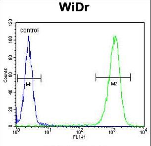 TSPAN33 / PEN Antibody - TSPAN33 Antibody flow cytometry of WiDr cells (right histogram) compared to a negative control cell (left histogram). FITC-conjugated goat-anti-rabbit secondary antibodies were used for the analysis.