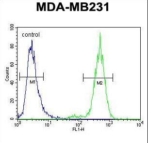 TTC16 Antibody - TTC16 Antibody flow cytometry of MDA-MB231 cells (right histogram) compared to a negative control cell (left histogram). FITC-conjugated goat-anti-rabbit secondary antibodies were used for the analysis.