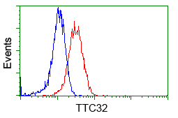 TTC32 Antibody - Flow cytometric Analysis of Jurkat cells, using anti-TTC32 antibody, (Red), compared to a nonspecific negative control antibody, (Blue).
