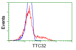 TTC32 Antibody - HEK293T cells transfected with either overexpress plasmid (Red) or empty vector control plasmid (Blue) were immunostained by anti-TTC32 antibody, and then analyzed by flow cytometry.