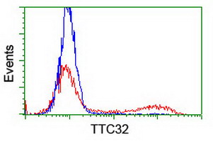 TTC32 Antibody - HEK293T cells transfected with either overexpress plasmid (Red) or empty vector control plasmid (Blue) were immunostained by anti-TTC32 antibody, and then analyzed by flow cytometry.