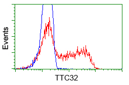 TTC32 Antibody - HEK293T cells transfected with either overexpress plasmid (Red) or empty vector control plasmid (Blue) were immunostained by anti-TTC32 antibody, and then analyzed by flow cytometry.