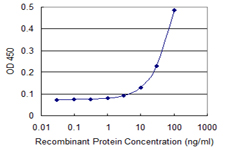 TTC4 Antibody - Detection limit for recombinant GST tagged TTC4 is 3 ng/ml as a capture antibody.
