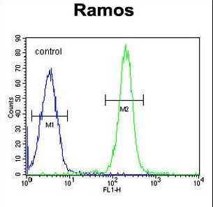 TTC9C Antibody - TTC9C Antibody flow cytometry of Ramos cells (right histogram) compared to a negative control cell (left histogram). FITC-conjugated goat-anti-rabbit secondary antibodies were used for the analysis.